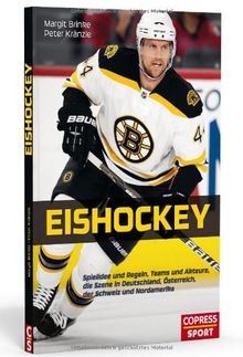 Eishockey spielidee und - spielidee,