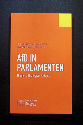 Afd parlamenten themen - afd,